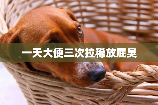 一天大便三次拉稀放屁臭