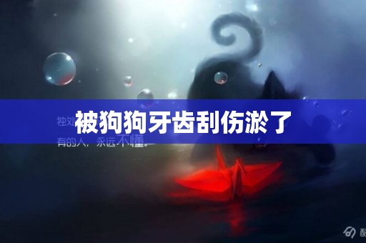 被狗狗牙齒刮傷淤了