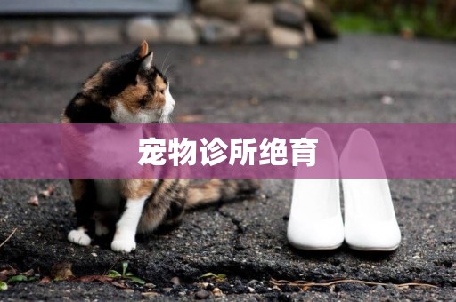 寵物診所絕育