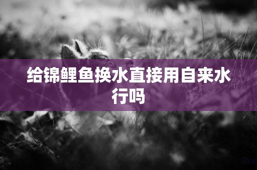 給錦鯉魚換水直接用自來水行嗎