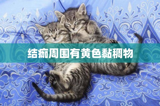 結痂周圍有黃色黏稠物