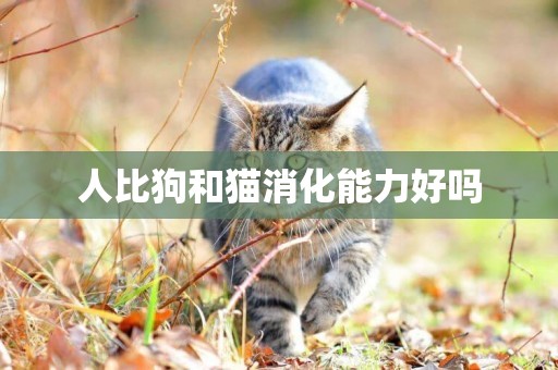 人比狗和貓消化能力好嗎