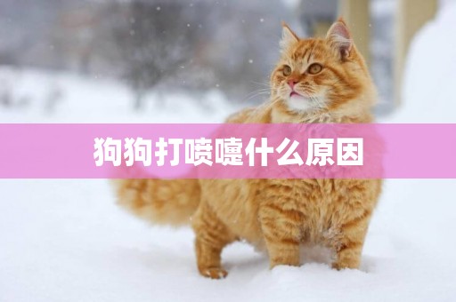 狗狗打噴嚏什么原因