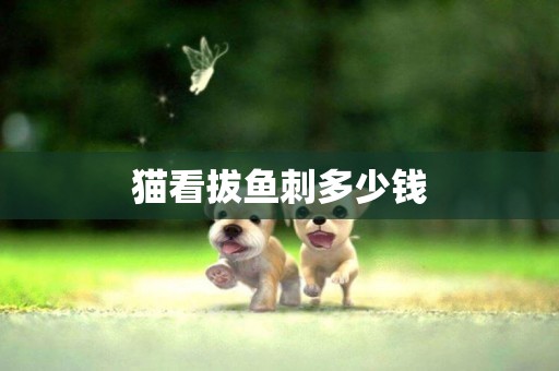 貓看拔魚刺多少錢