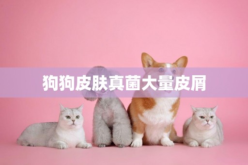 狗狗皮膚真菌大量皮屑