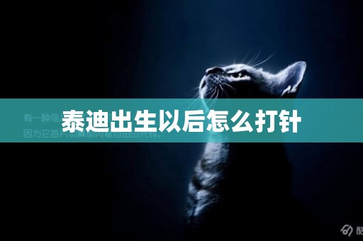 泰迪出生以后怎么打針
