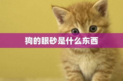 狗的眼砂是什么東西