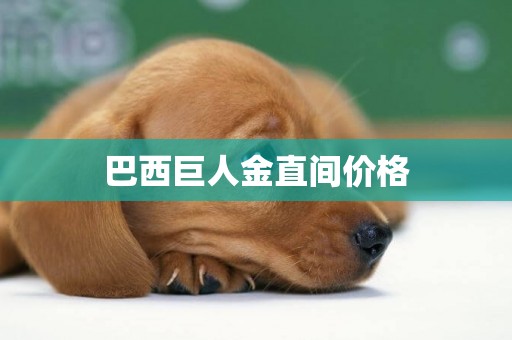 巴西巨人金直間價格