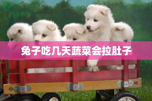 兔子吃幾天蔬菜會拉肚子