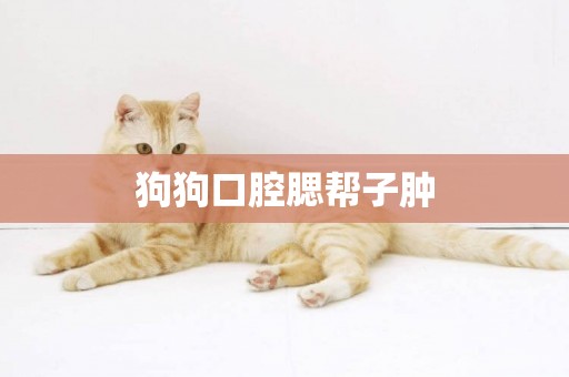 狗狗口腔腮幫子腫
