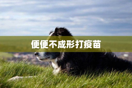 便便不成形打疫苗