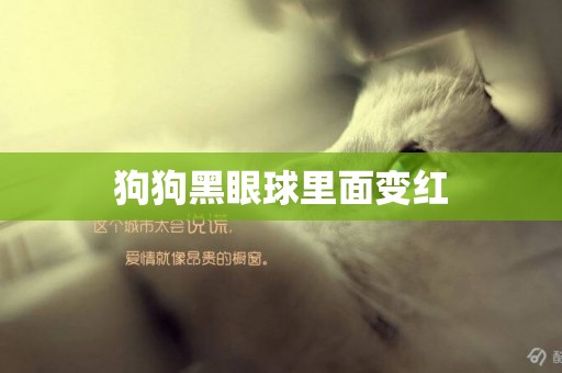 狗狗黑眼球里面變紅