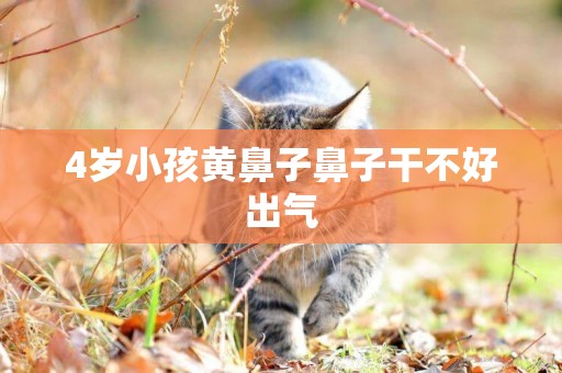 4歲小孩黃鼻子鼻子干不好出氣