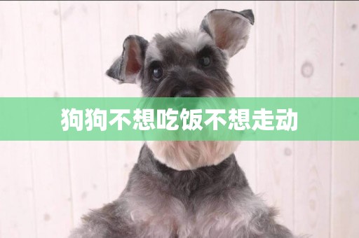 狗狗不想吃飯不想走動