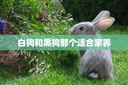 白狗和黑狗那個適合家養
