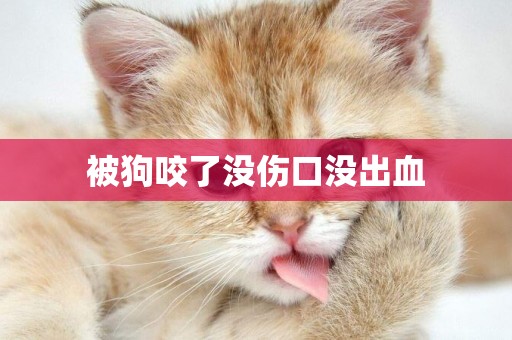 被狗咬了沒傷口沒出血