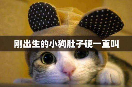 剛出生的小狗肚子硬一直叫
