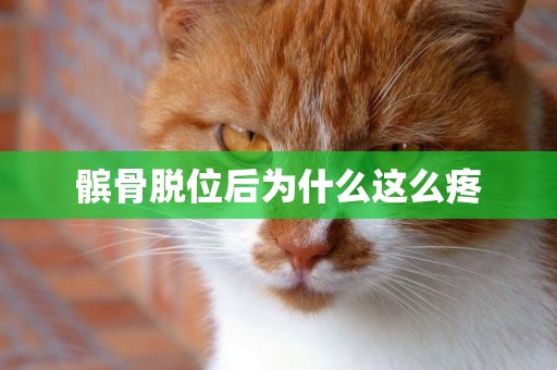 髕骨脫位后為什么這么疼