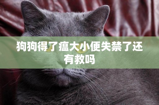 狗狗得了瘟大小便失禁了還有救嗎