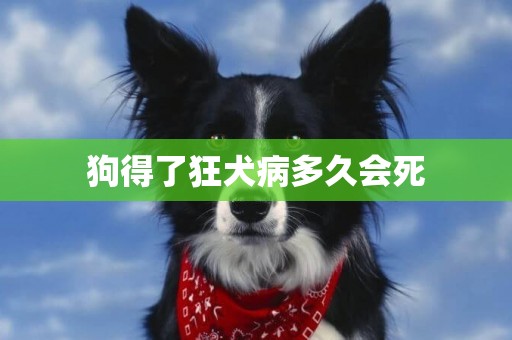 狗得了狂犬病多久會死