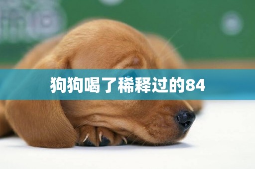 狗狗喝了稀釋過的84