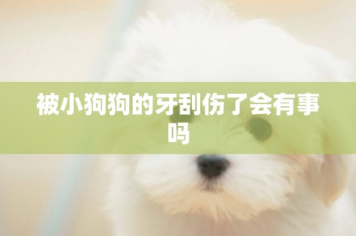 被小狗狗的牙刮傷了會有事嗎
