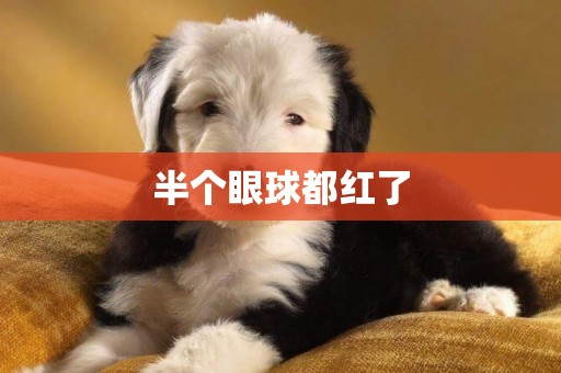 半個眼球都紅了