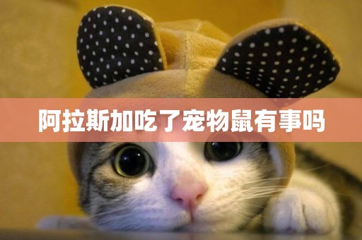 阿拉斯加吃了寵物鼠有事嗎