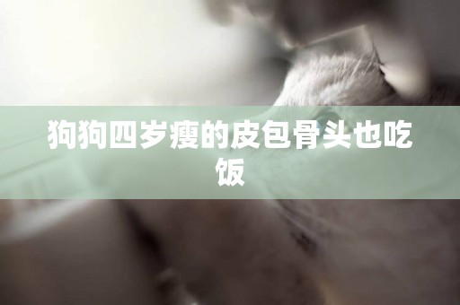 狗狗四歲瘦的皮包骨頭也吃飯