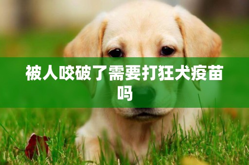 被人咬破了需要打狂犬疫苗嗎