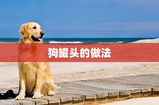 狗罐頭的做法