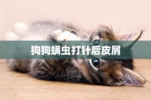 狗狗螨蟲打針后皮屑