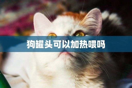 狗罐頭可以加熱喂嗎