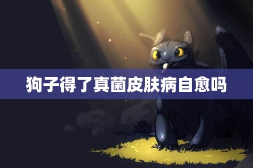 狗子得了真菌皮膚病自愈嗎