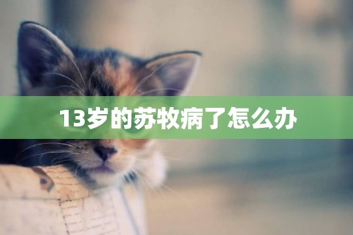 13歲的蘇牧病了怎么辦