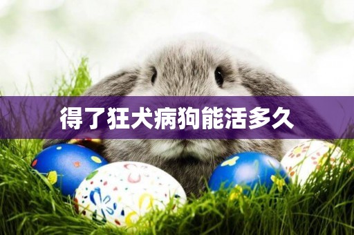 得了狂犬病狗能活多久