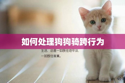 如何處理狗狗騎跨行為