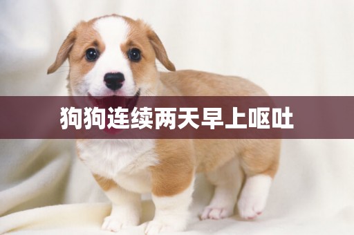 狗狗連續兩天早上嘔吐