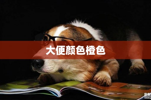 大便顏色橙色