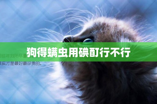 狗得螨蟲用碘酊行不行