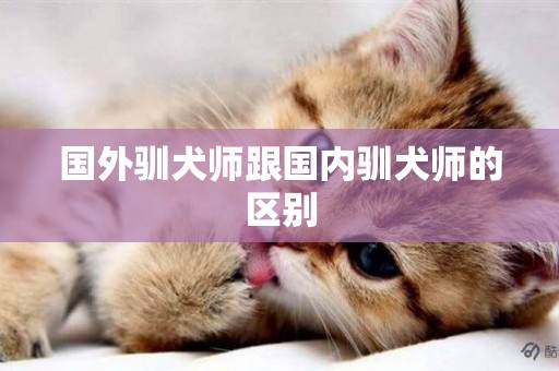 國外馴犬師跟國內馴犬師的區別