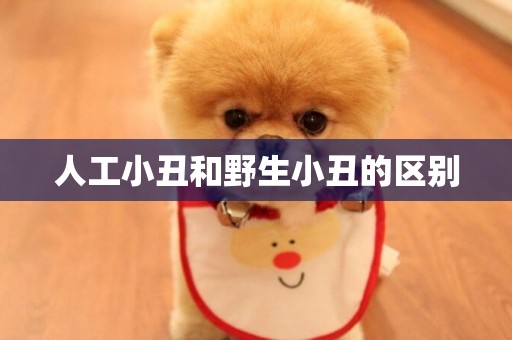 人工小丑和野生小丑的區別