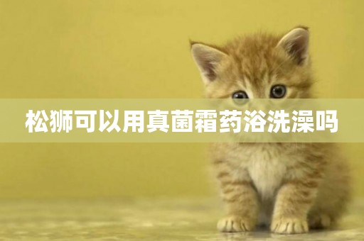松獅可以用真菌霜藥浴洗澡嗎