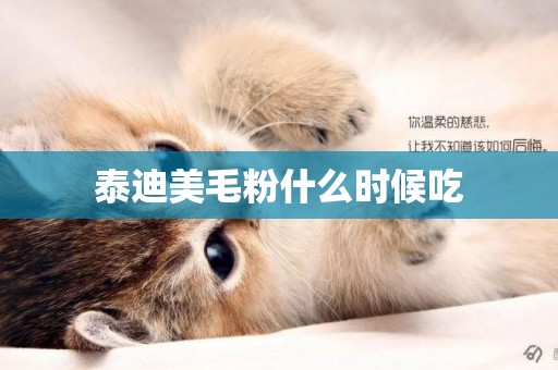 泰迪美毛粉什么時候吃
