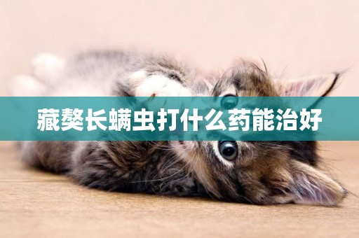藏獒長螨蟲打什么藥能治好