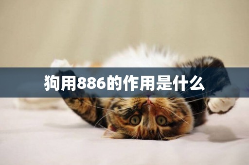 狗用886的作用是什么
