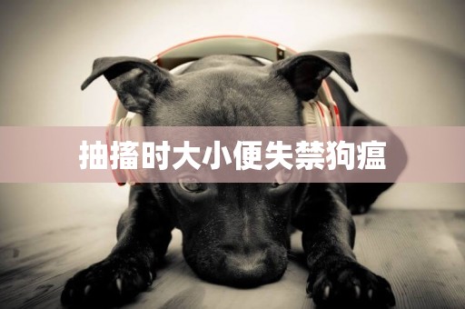 抽搐時大小便失禁狗瘟