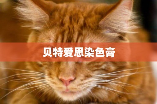 貝特愛思染色膏