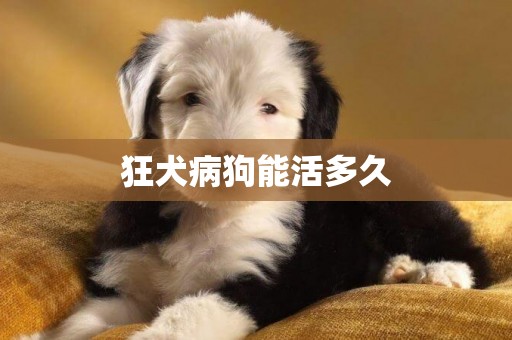 狂犬病狗能活多久
