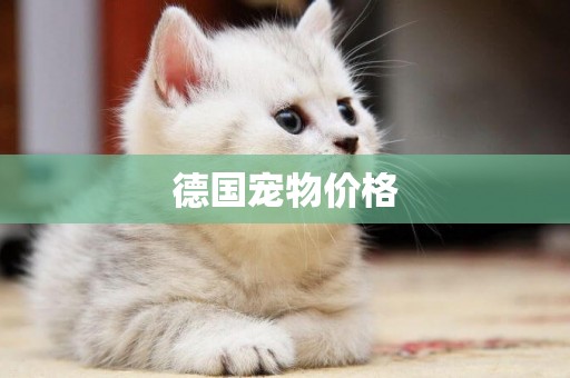 德國寵物價格